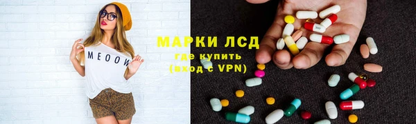 ГАЛЛЮЦИНОГЕННЫЕ ГРИБЫ Арсеньев