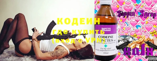 ГАЛЛЮЦИНОГЕННЫЕ ГРИБЫ Арсеньев