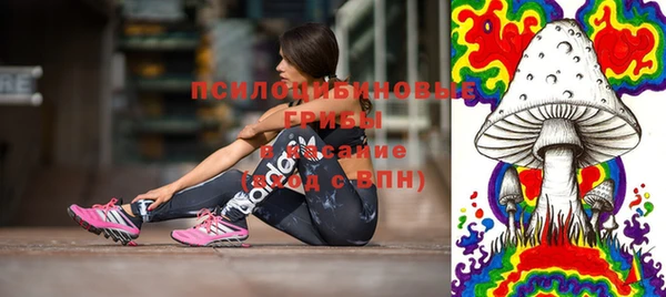 прущая мука Аркадак