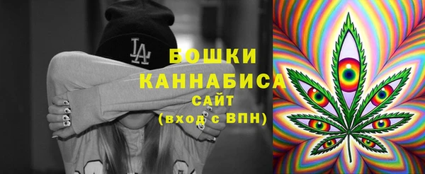 ГАЛЛЮЦИНОГЕННЫЕ ГРИБЫ Арсеньев