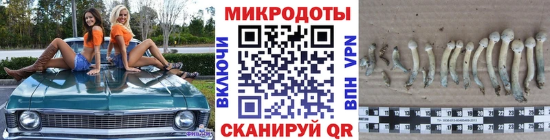 Псилоцибиновые грибы Psilocybine cubensis  Богучар 
